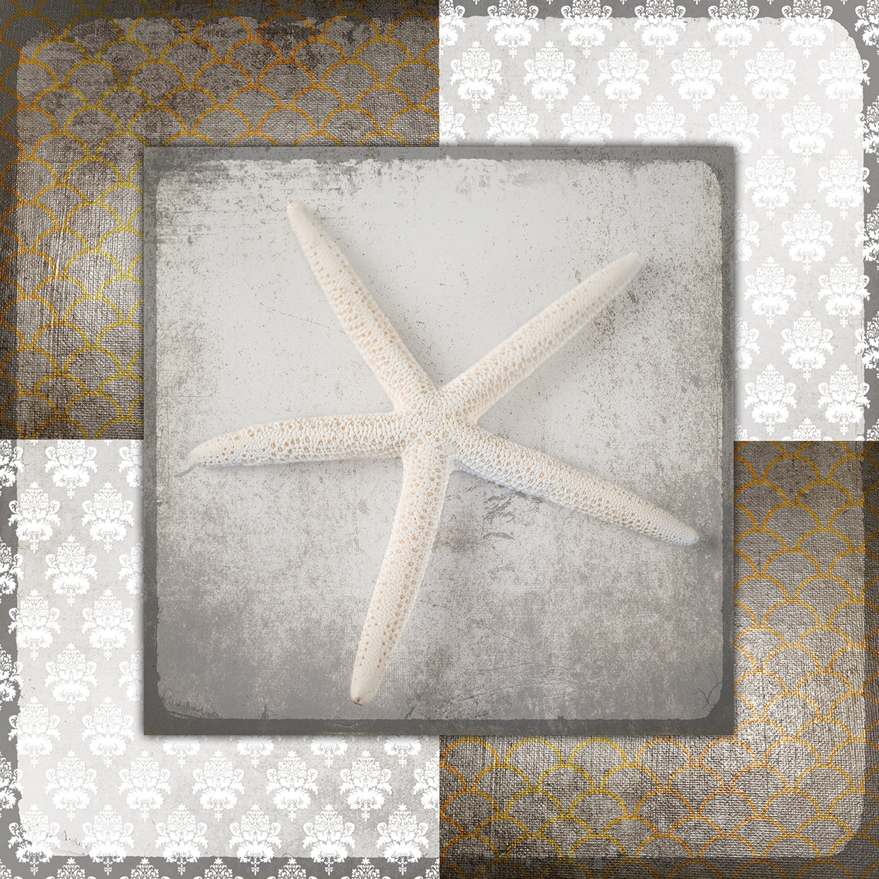 Vintage Natuical Star 3