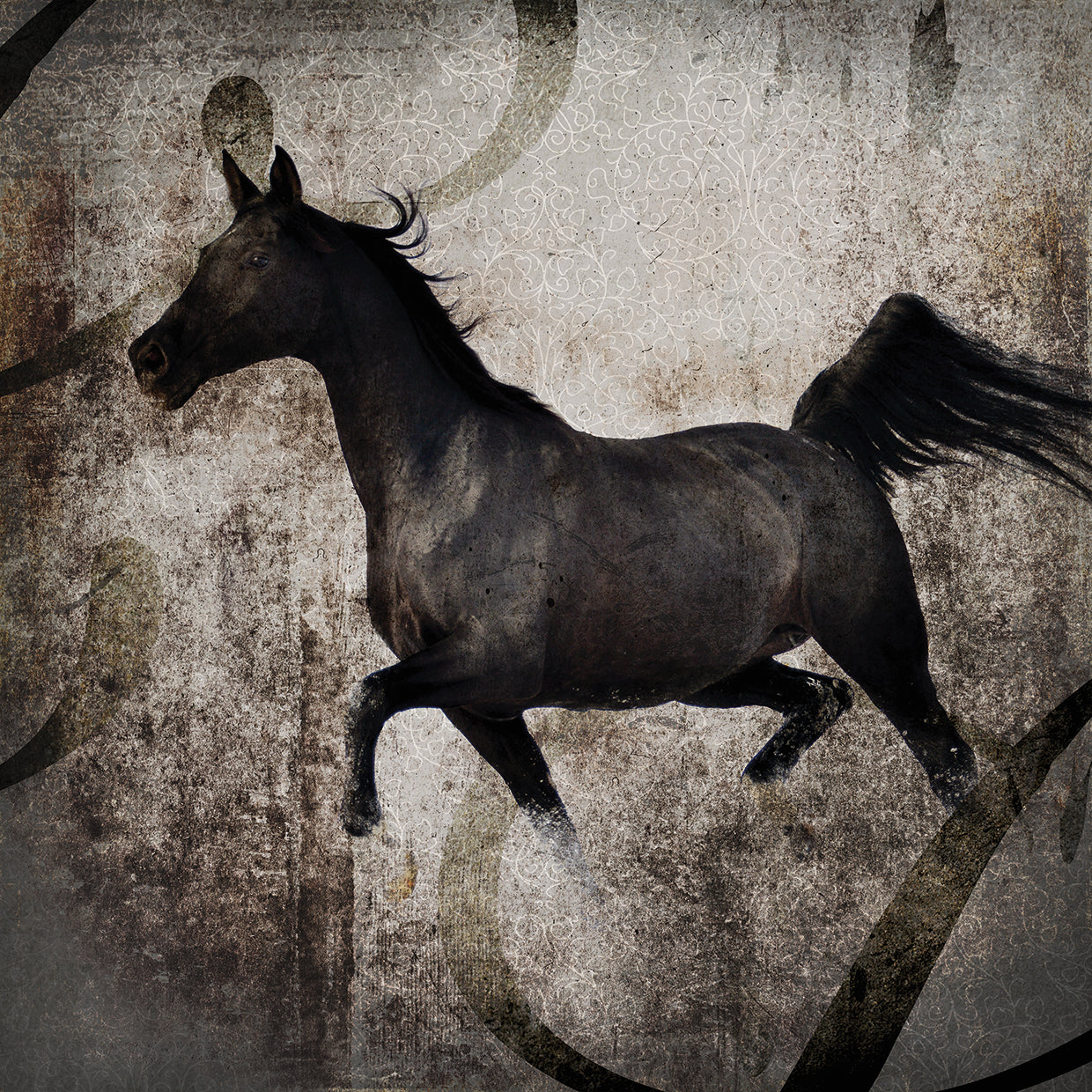 GypsyHorse Collection # 2