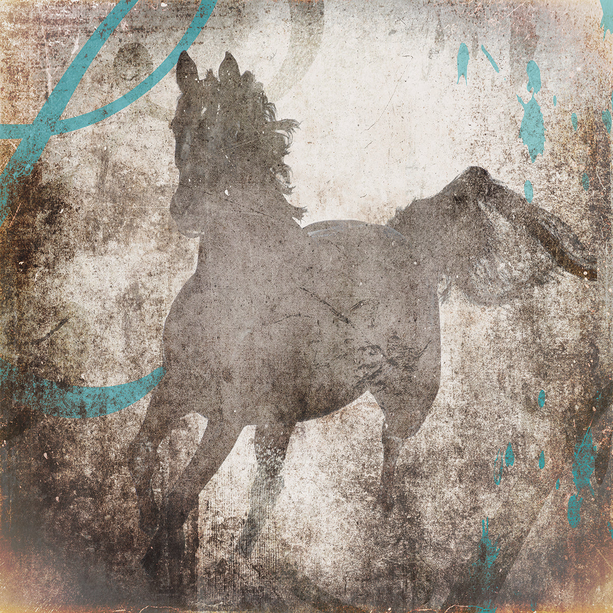 GypsyHorse Collection # 6