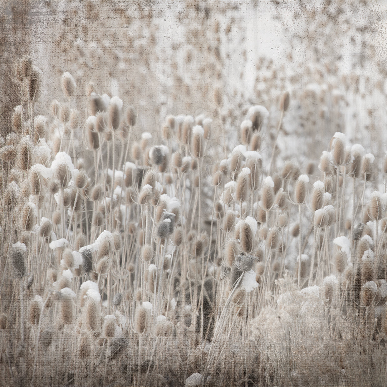 My Farm My Way Photos 3