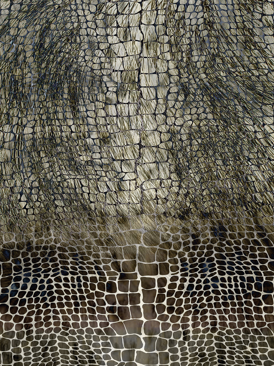 Animal Surface Pattern # 3