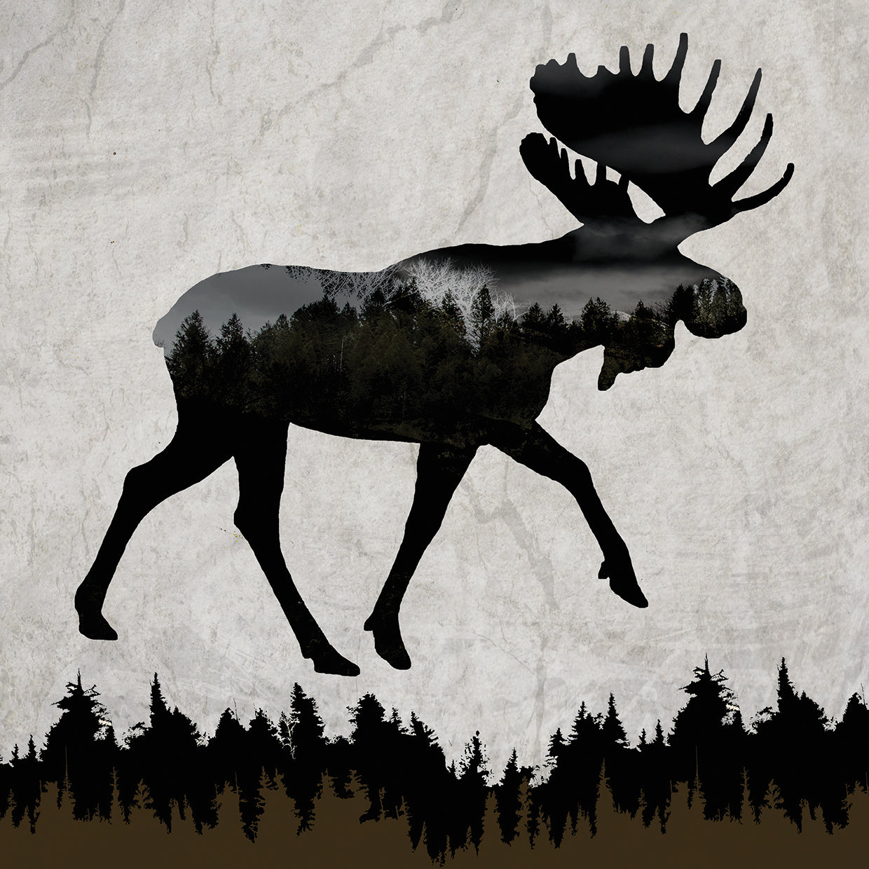 Rustic Lodge Collection