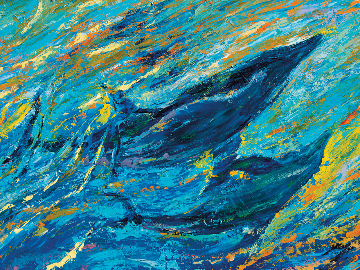 Just off the Reef Spinner Dolphins Mother and Calf