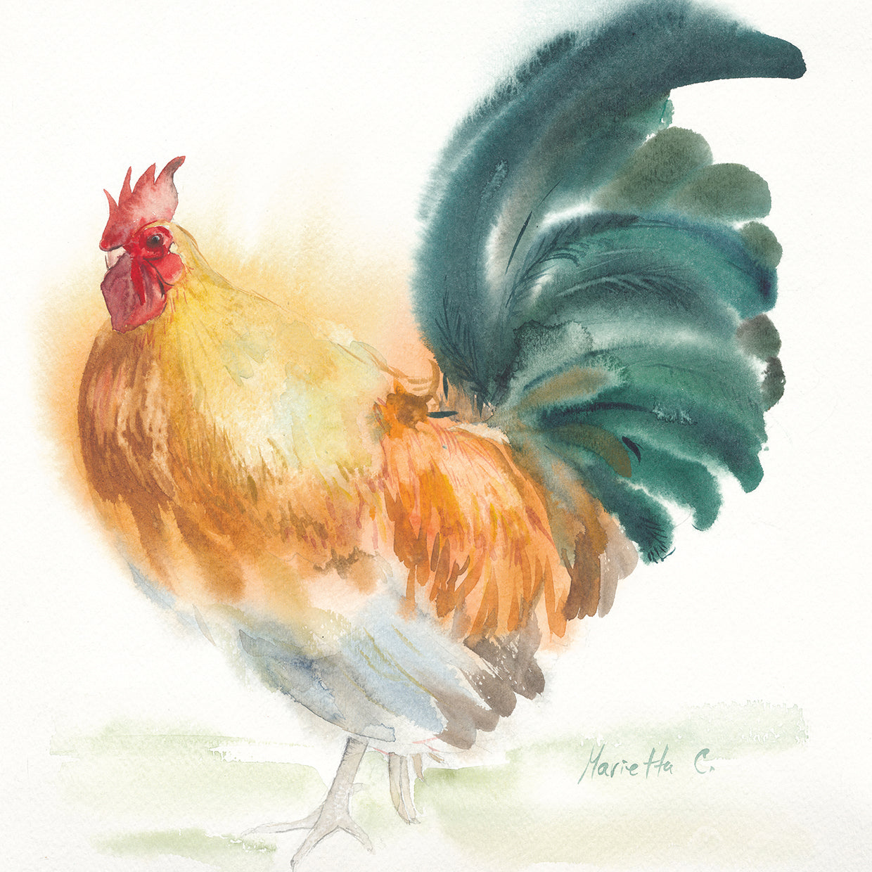 Orange Rooster