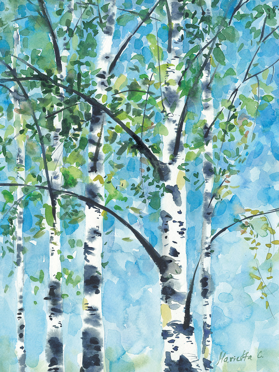 Aspen tree2