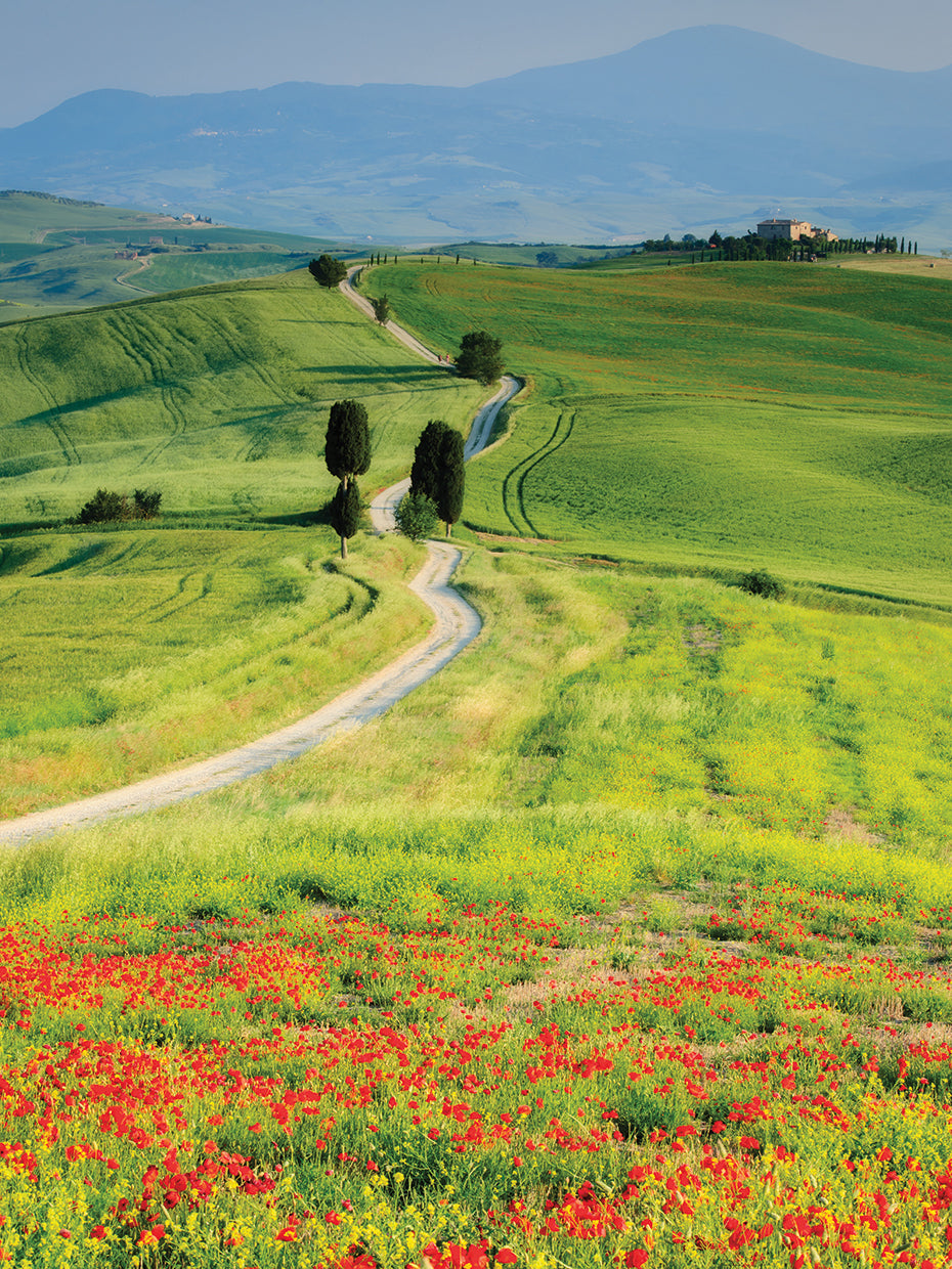 Road to Terrapille Farm