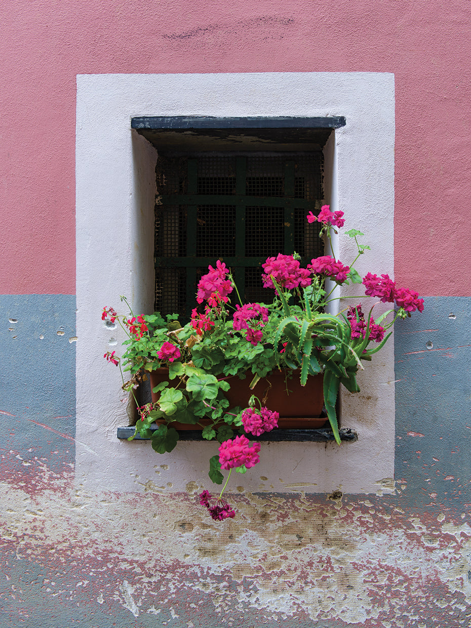 Monterosso Window