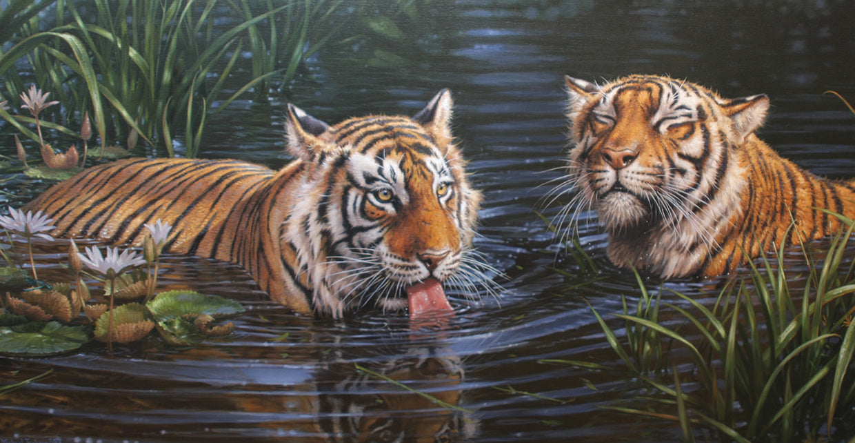 Couple of Tigers