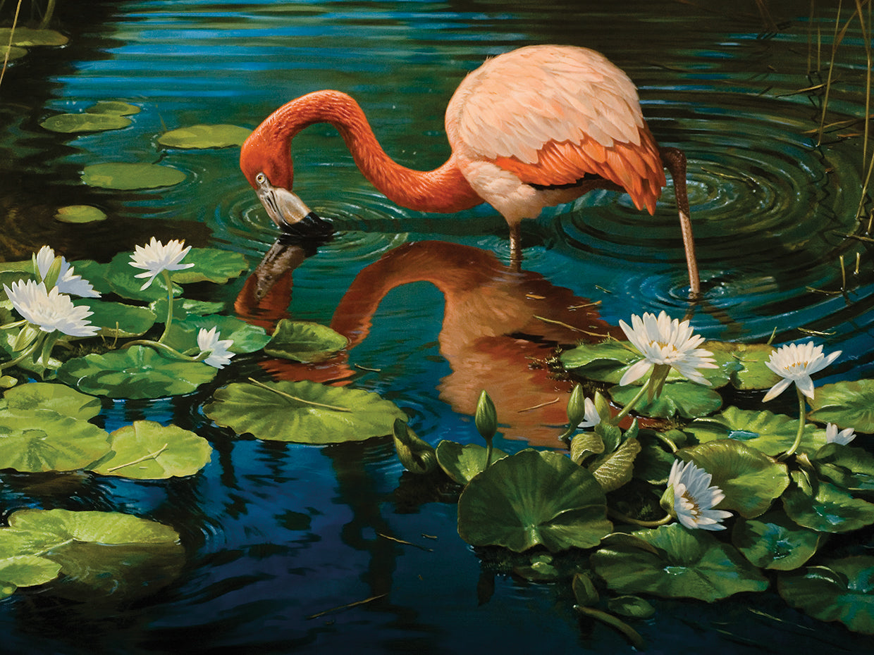 Reflexiones Arte de la lona