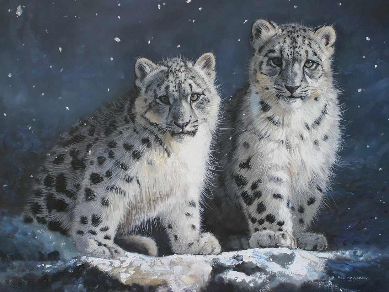 Jóvenes leopardos de las nieves en el lienzo oscuro
