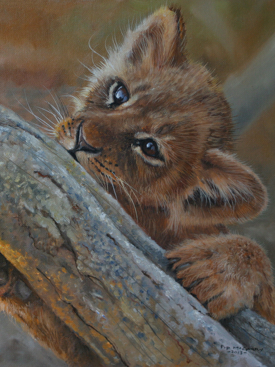 Play Lion Cub