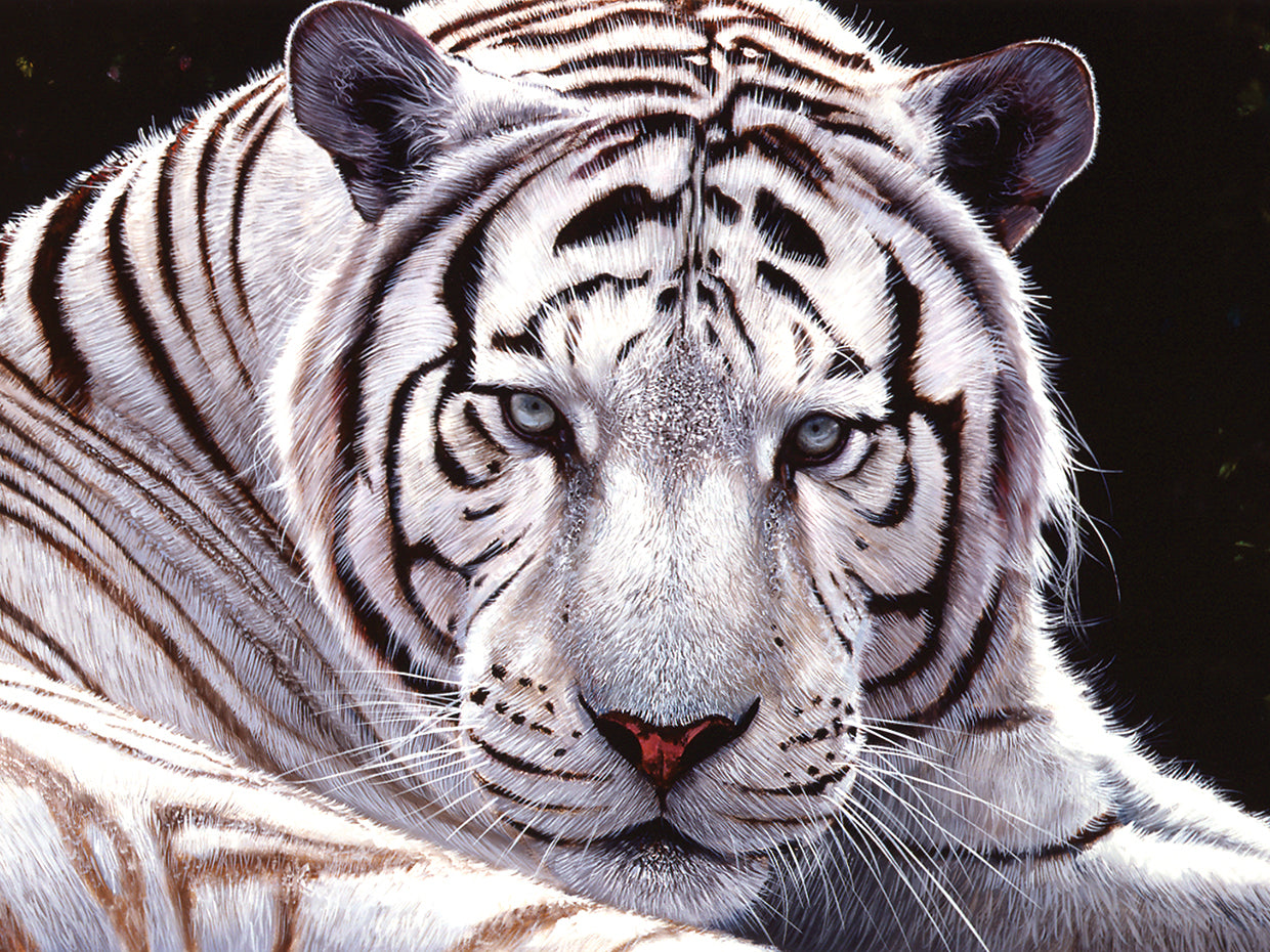Arte de la lona del rey blanco