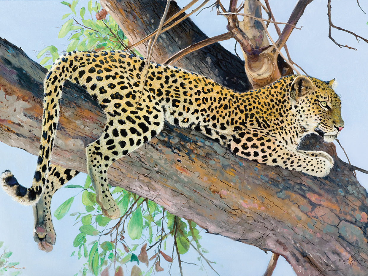 Lienzo con mirador de leopardo