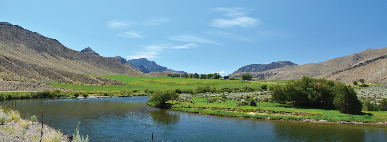 Along US 93 South of Salmon ID
