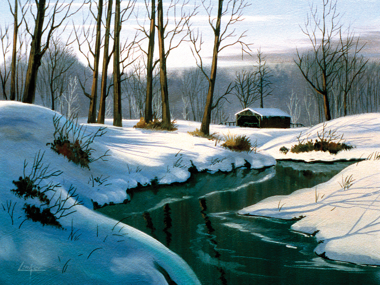 Bridge in the Frozen Woods