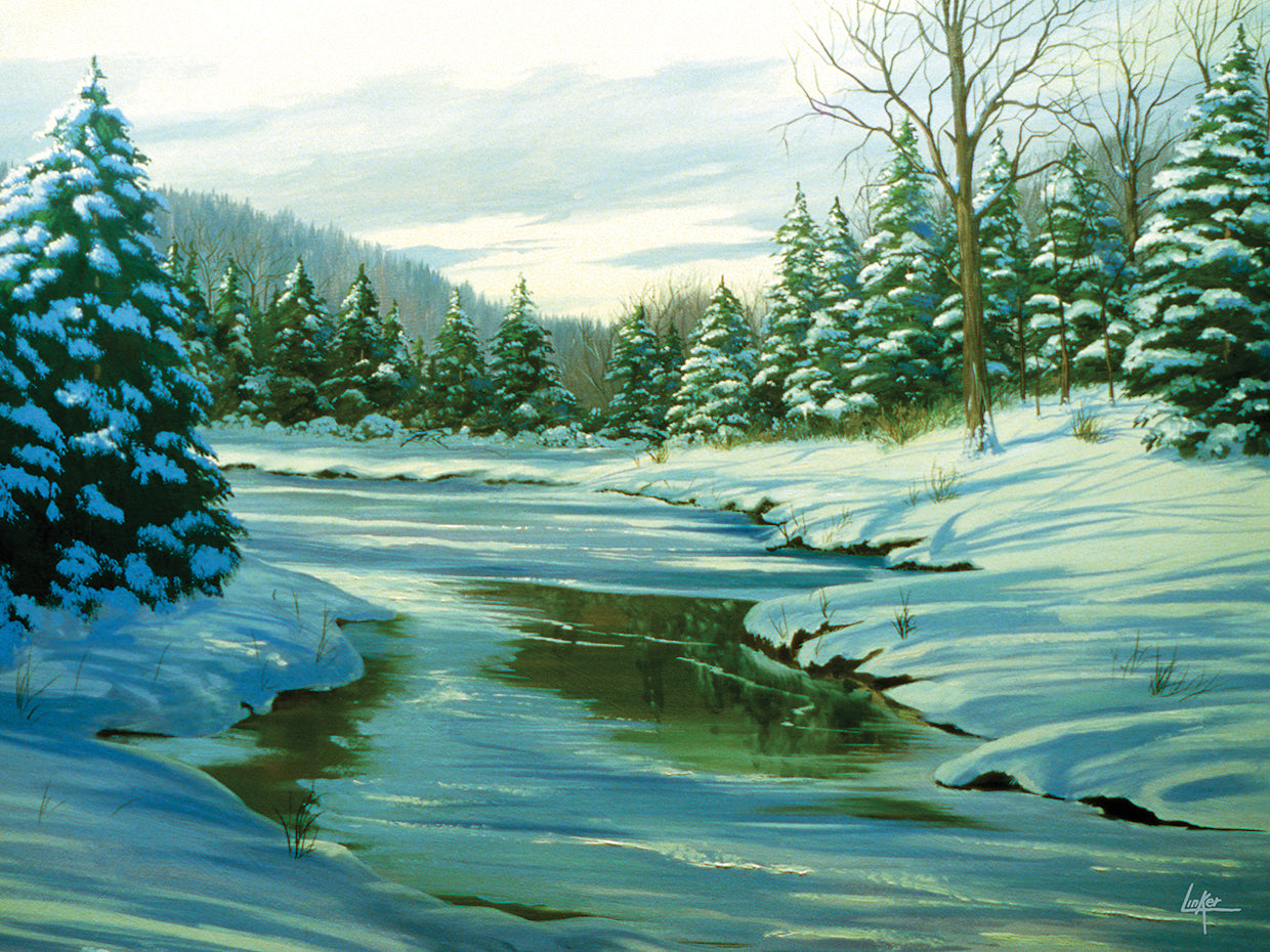 Pine Trees in Winter