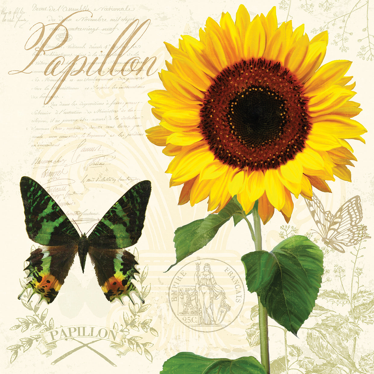 Natural History Sketchbook III