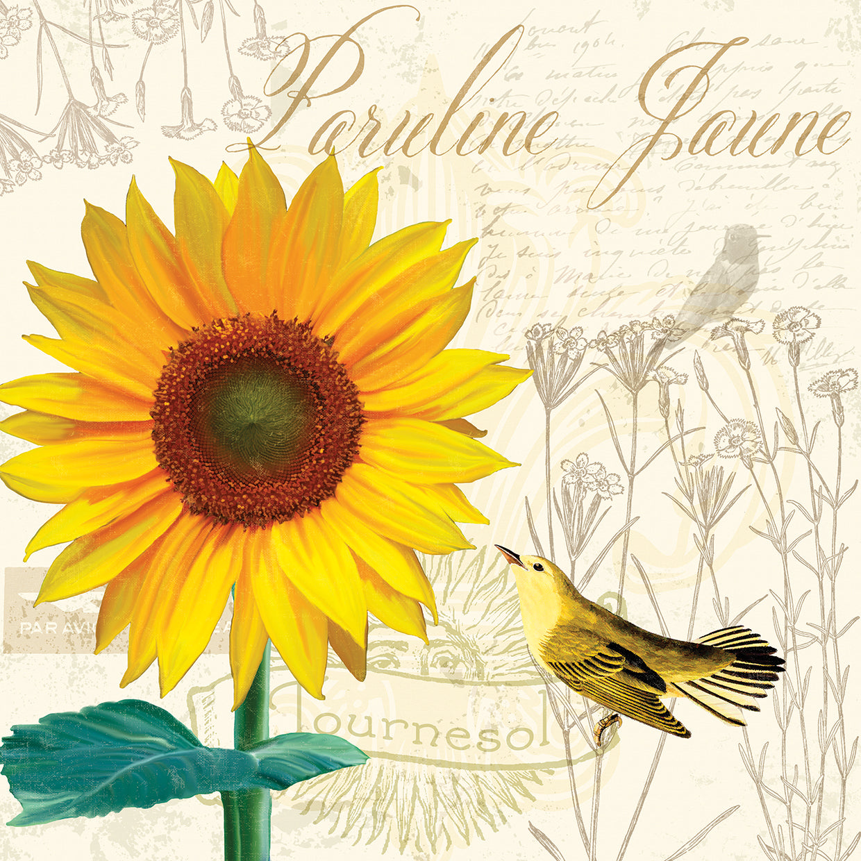 Natural History Sketchbook IV