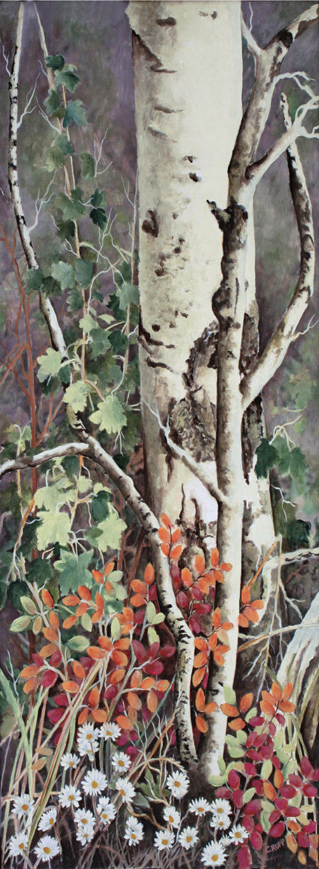 Aspen and Daisies