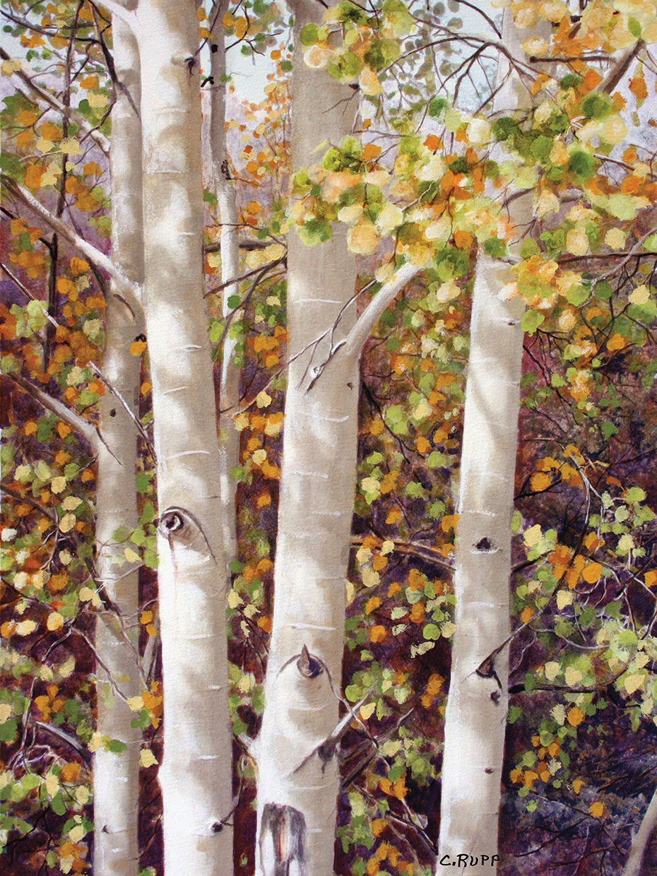 Aspen Quartet