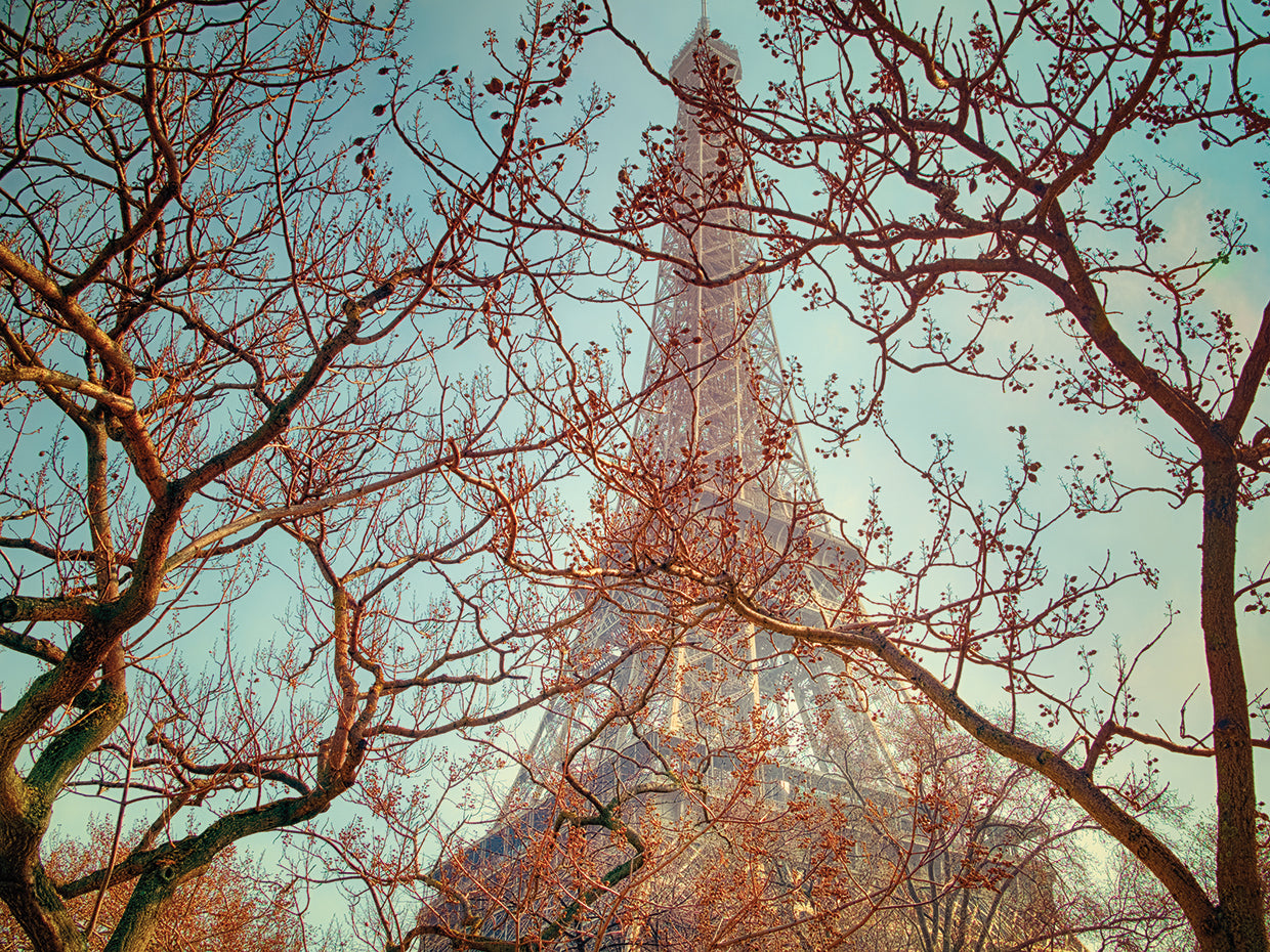 Eiffel Tower Vintage