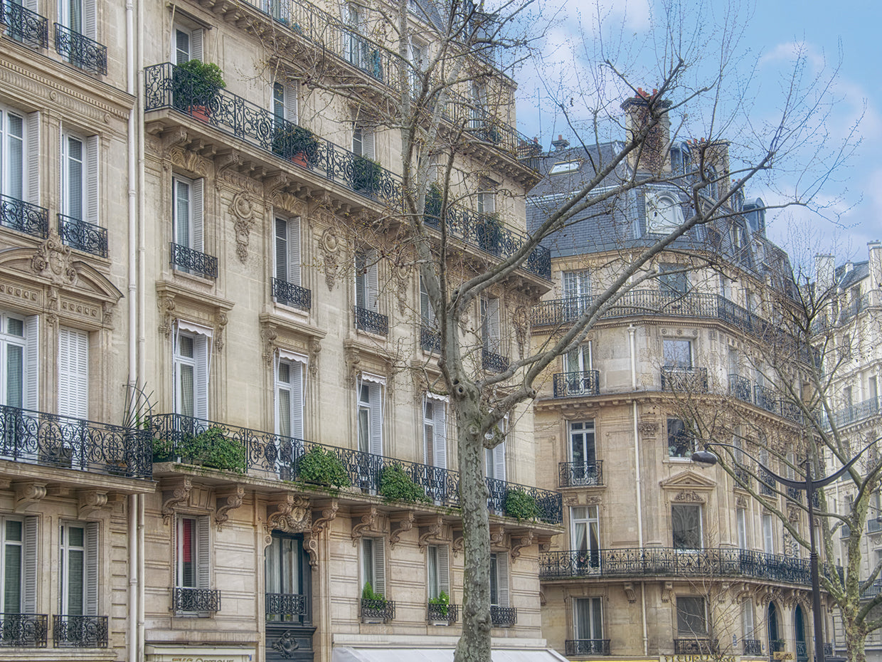 Paris' Apartement Buildings