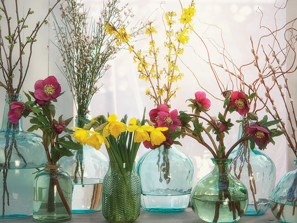 Spring Flowers in Glass Bottles I