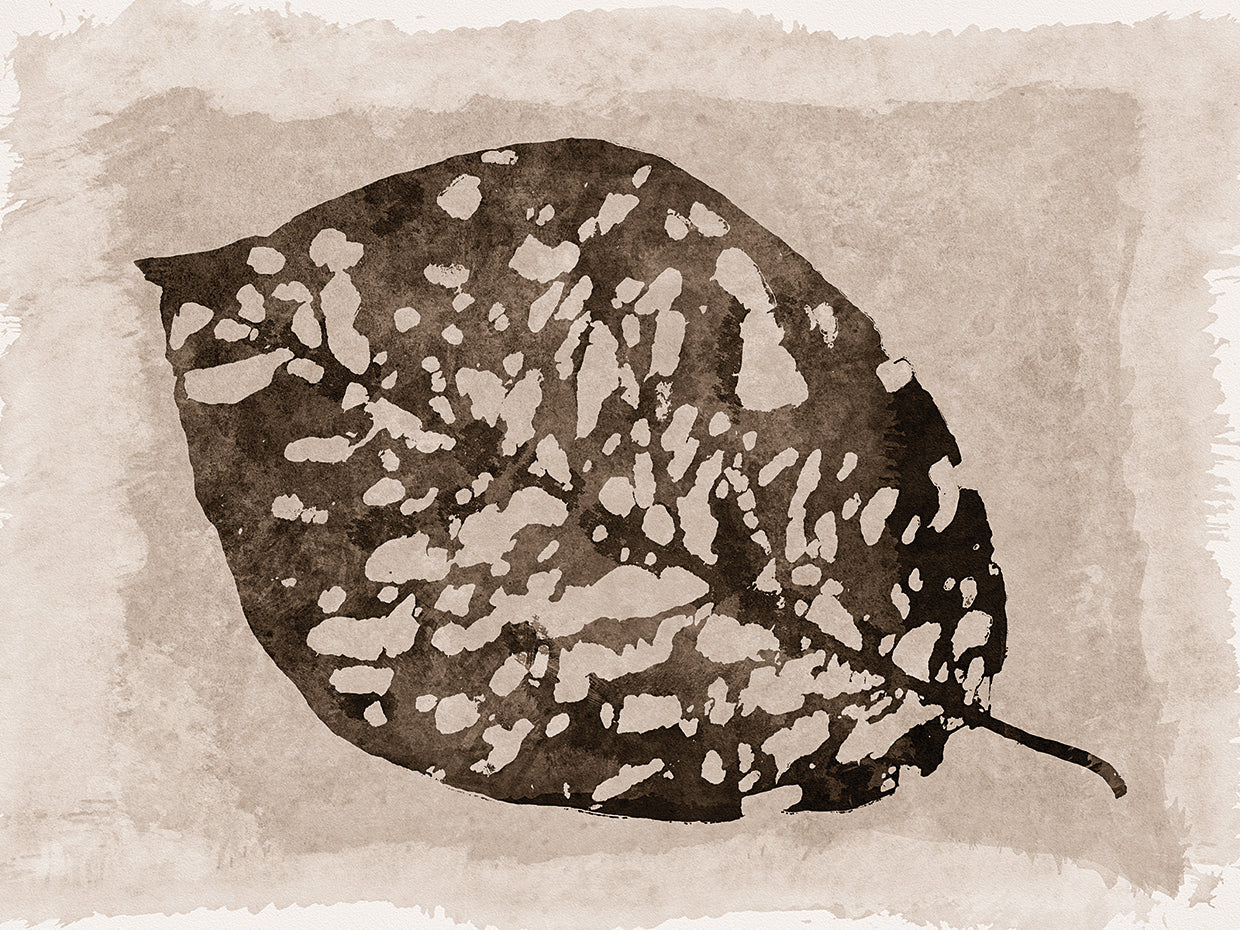 Sepia Leaf