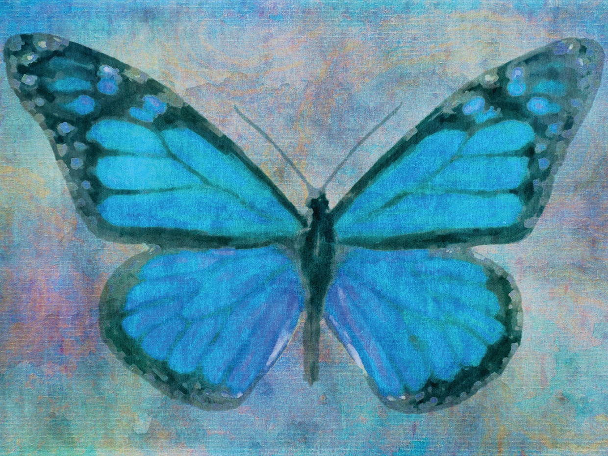 Blue Butterfly Watercolor