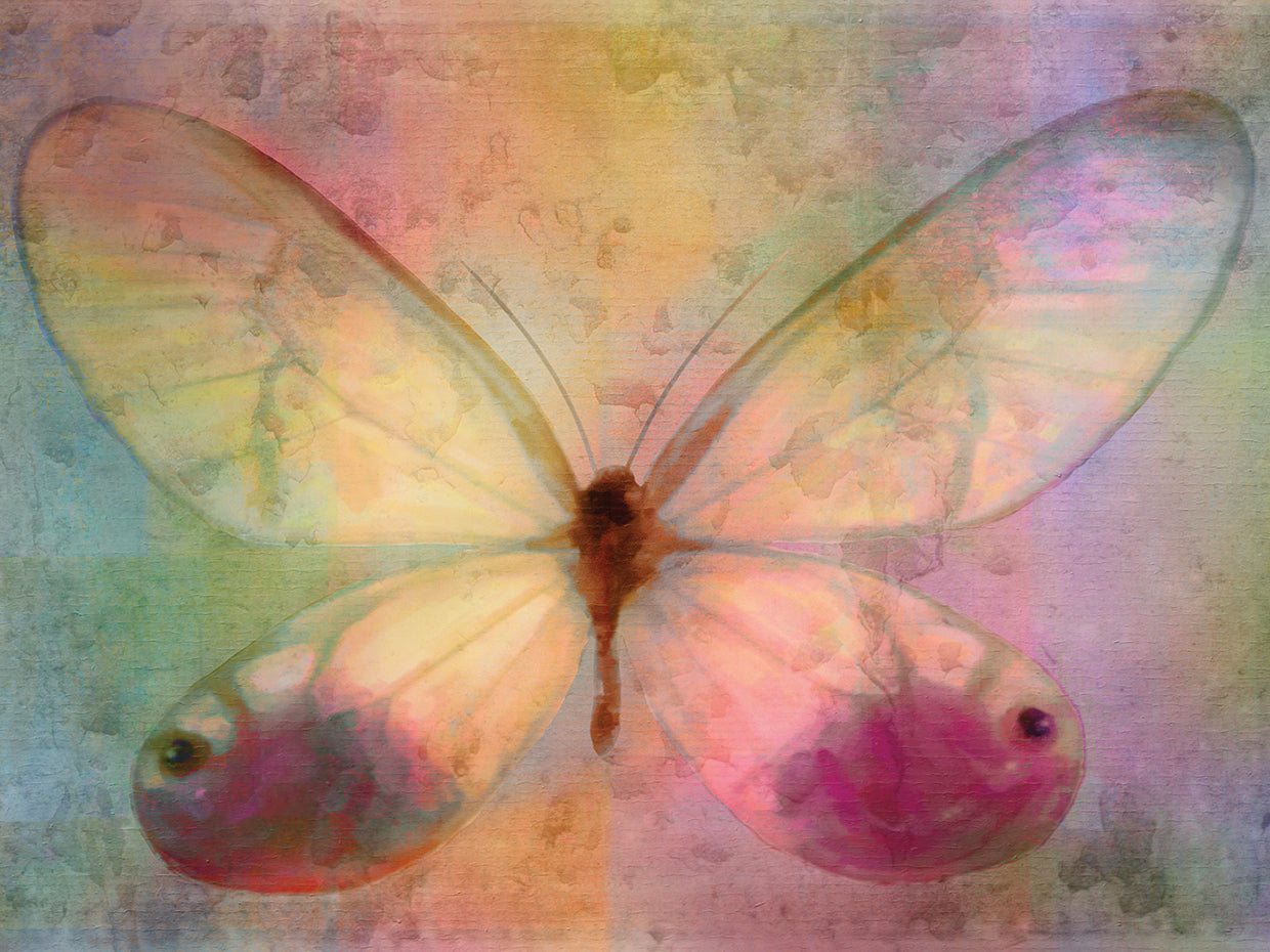 Yellow Butterfly Watercolor