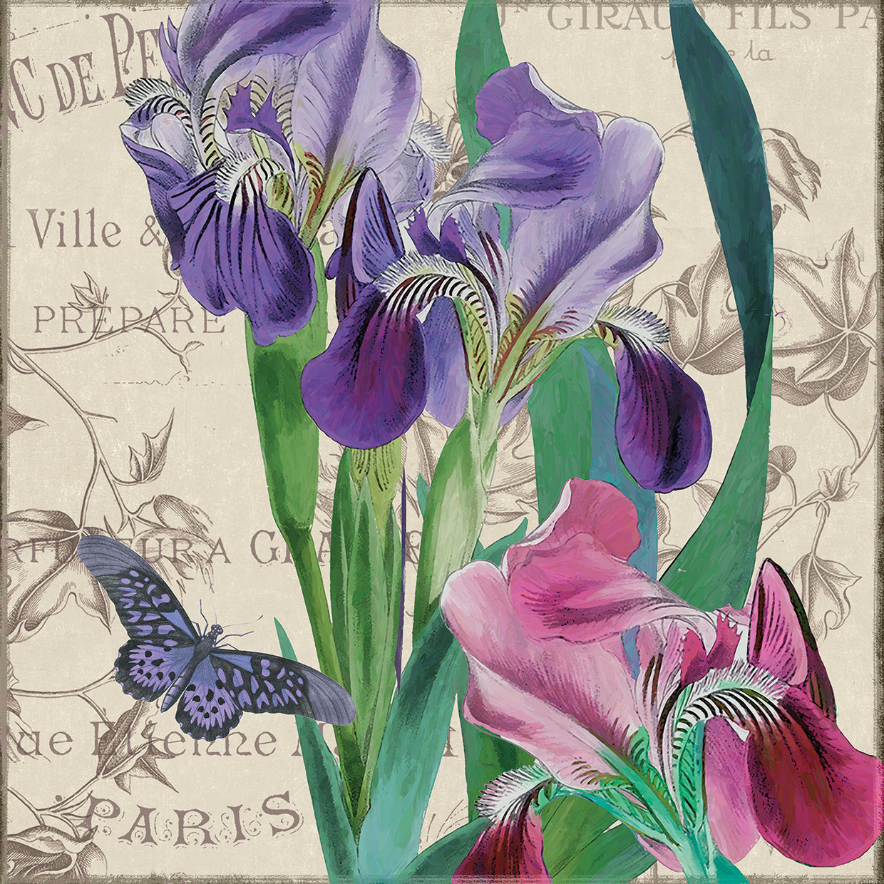 Vintage Flowers III