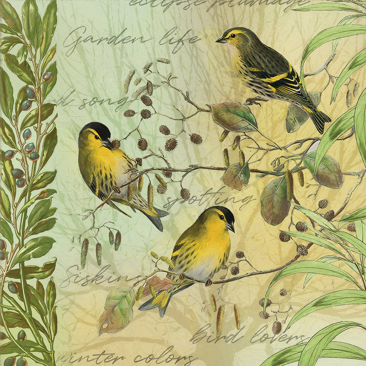 Tree Birds I Siskins