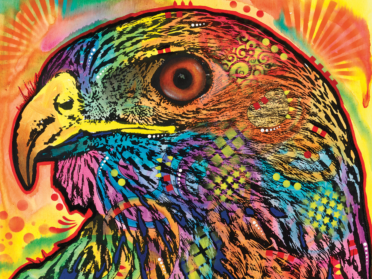 Hawk eye - highest quality handcrafted wall art work on large canvas & framed canvas prints by Dean Russo