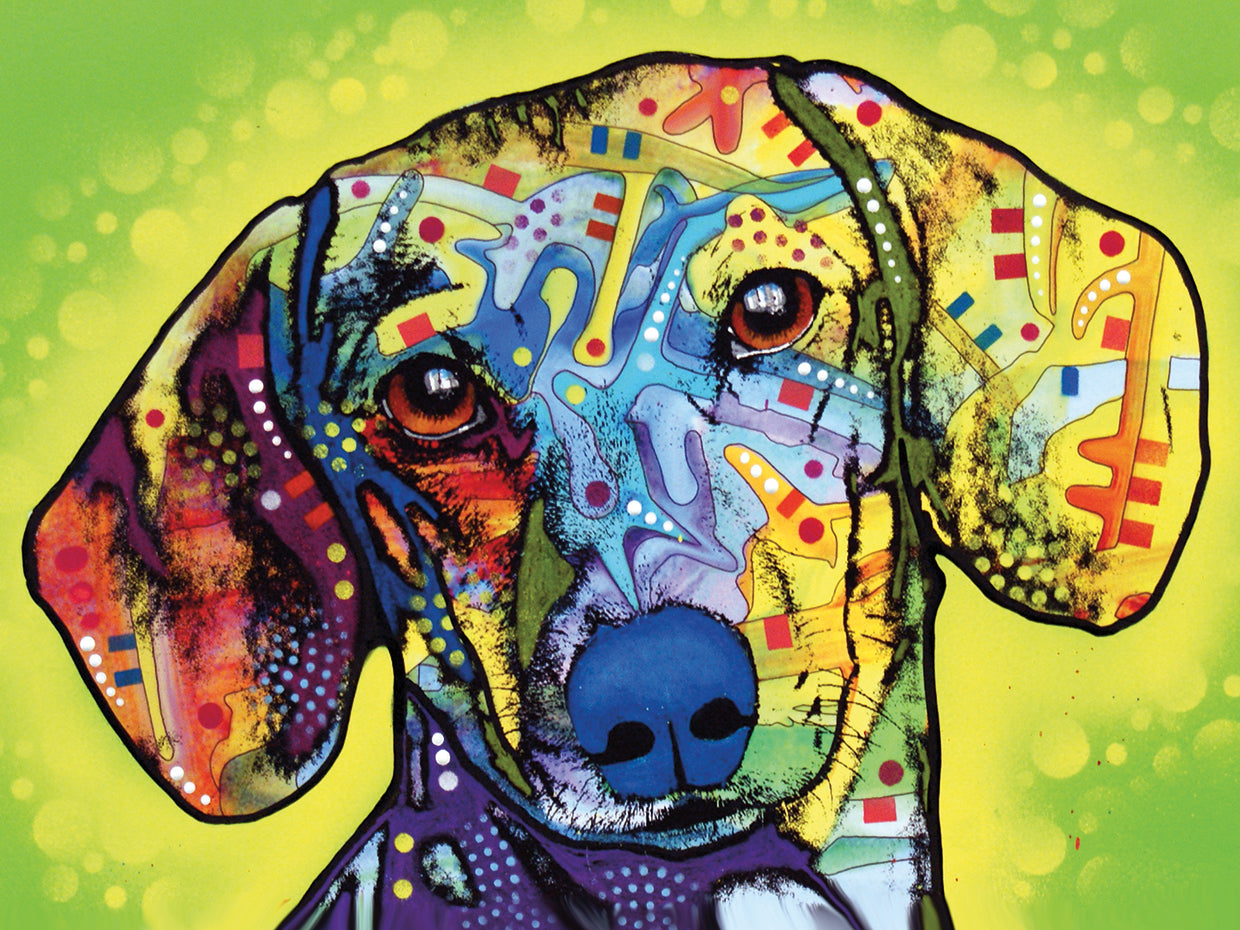 Dachshund by Dean Russo - museum quality wall art work on large canvas & framed canvas prints