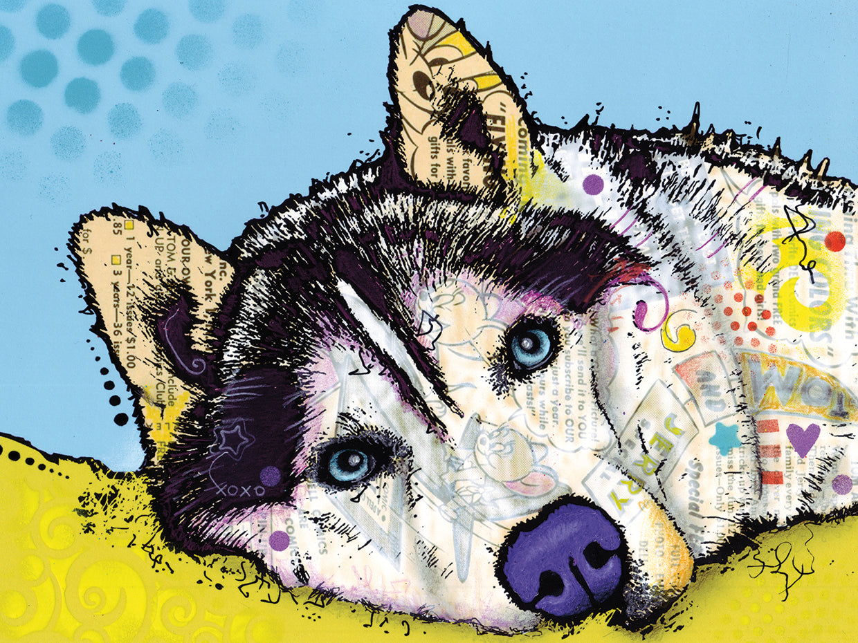 Siberian Husky - highest quality handcrafted wall art work on large canvas & framed canvas prints by Dean Russo