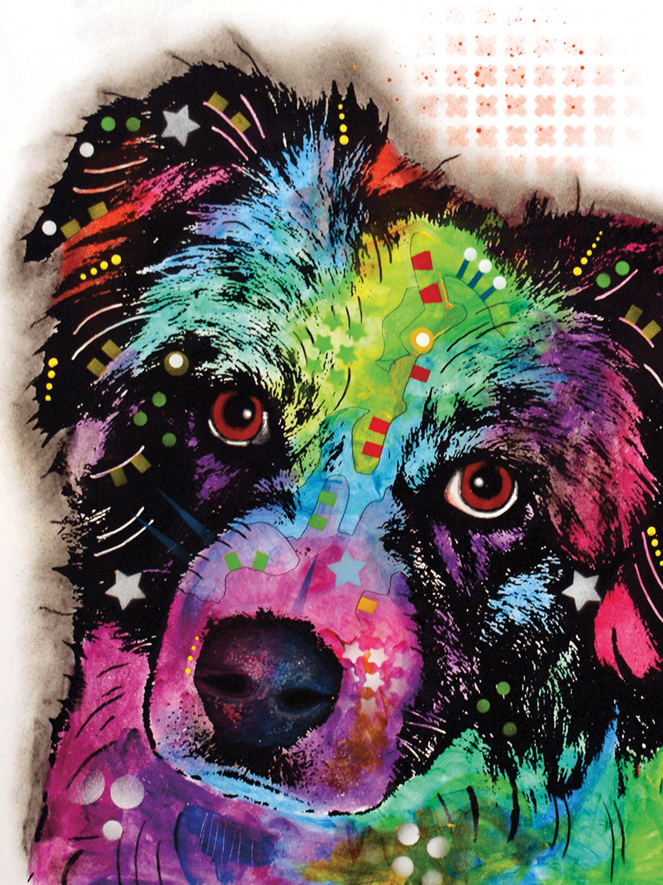 Aussie - highest quality handcrafted wall art work on large canvas & framed canvas prints by Dean Russo