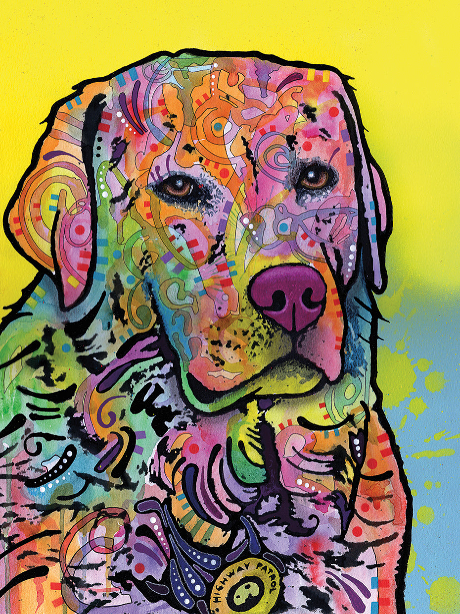 Goose - highest quality handcrafted wall art work on large canvas & framed canvas prints by Dean Russo