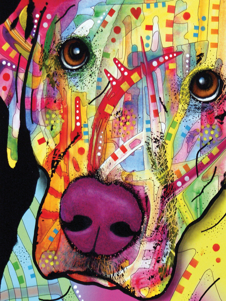 Close Up Lab - highest quality handcrafted wall art work on large canvas & framed canvas prints by Dean Russo