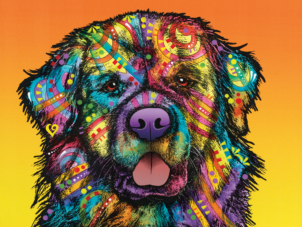 Newfie - highest quality handcrafted wall art work on large canvas & framed canvas prints by Dean Russo