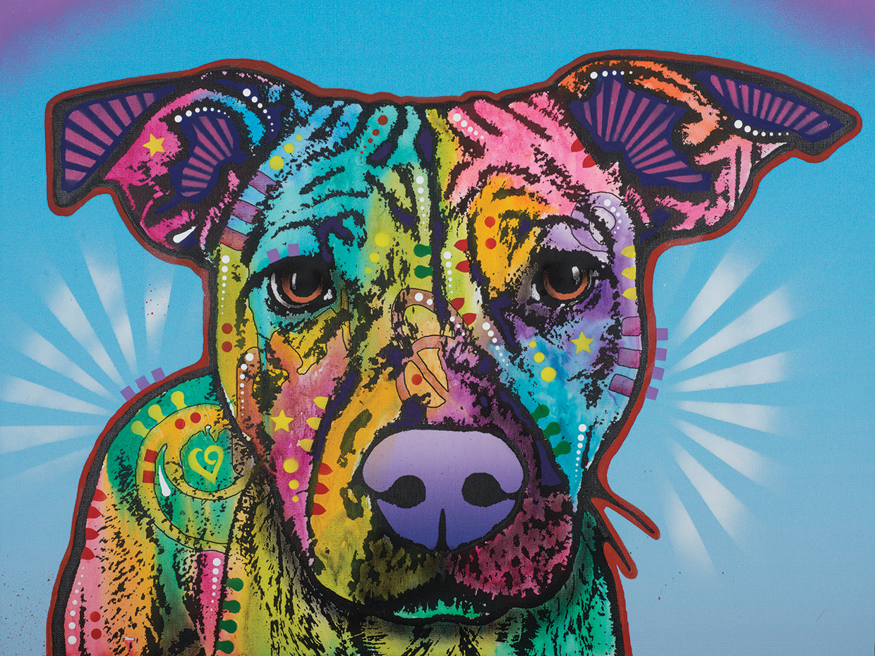 Roo - highest quality handcrafted wall art work on large canvas & framed canvas prints by Dean Russo