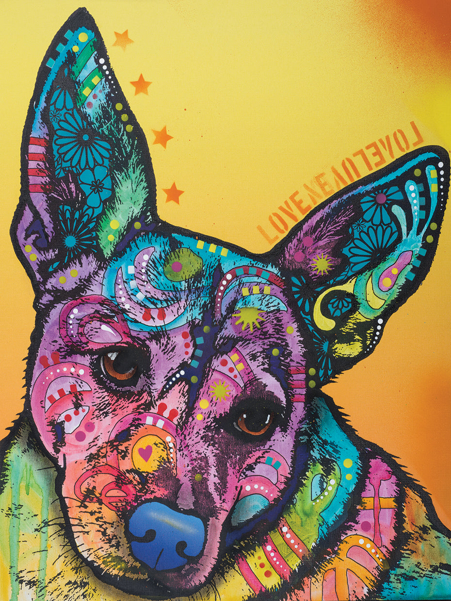 Tink - highest quality handcrafted wall art work on large canvas & framed canvas prints by Dean Russo