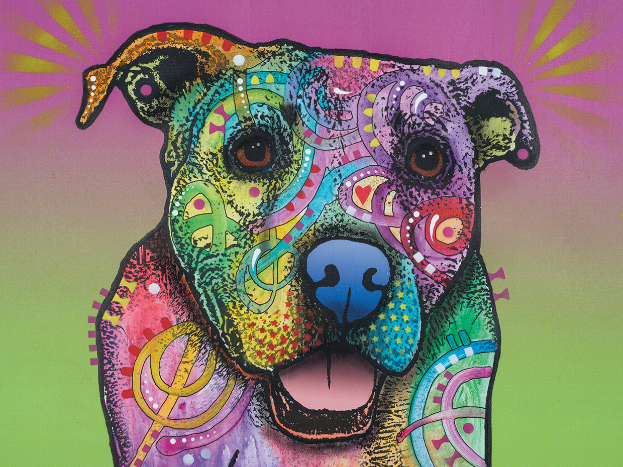 Fiona - highest quality handcrafted wall art work on large canvas & framed canvas prints by Dean Russo
