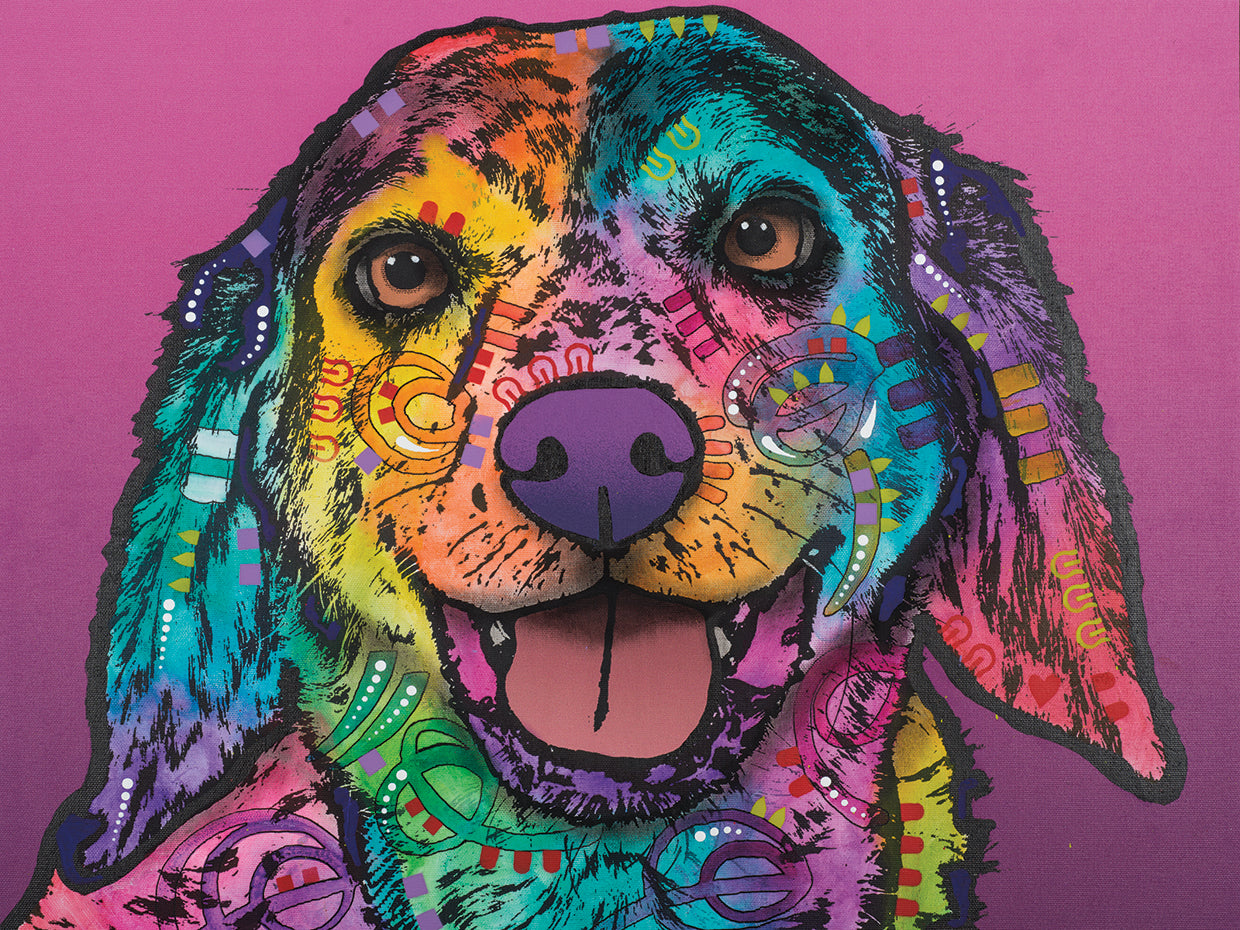 Jasper - highest quality handcrafted wall art work on large canvas & framed canvas prints by Dean Russo