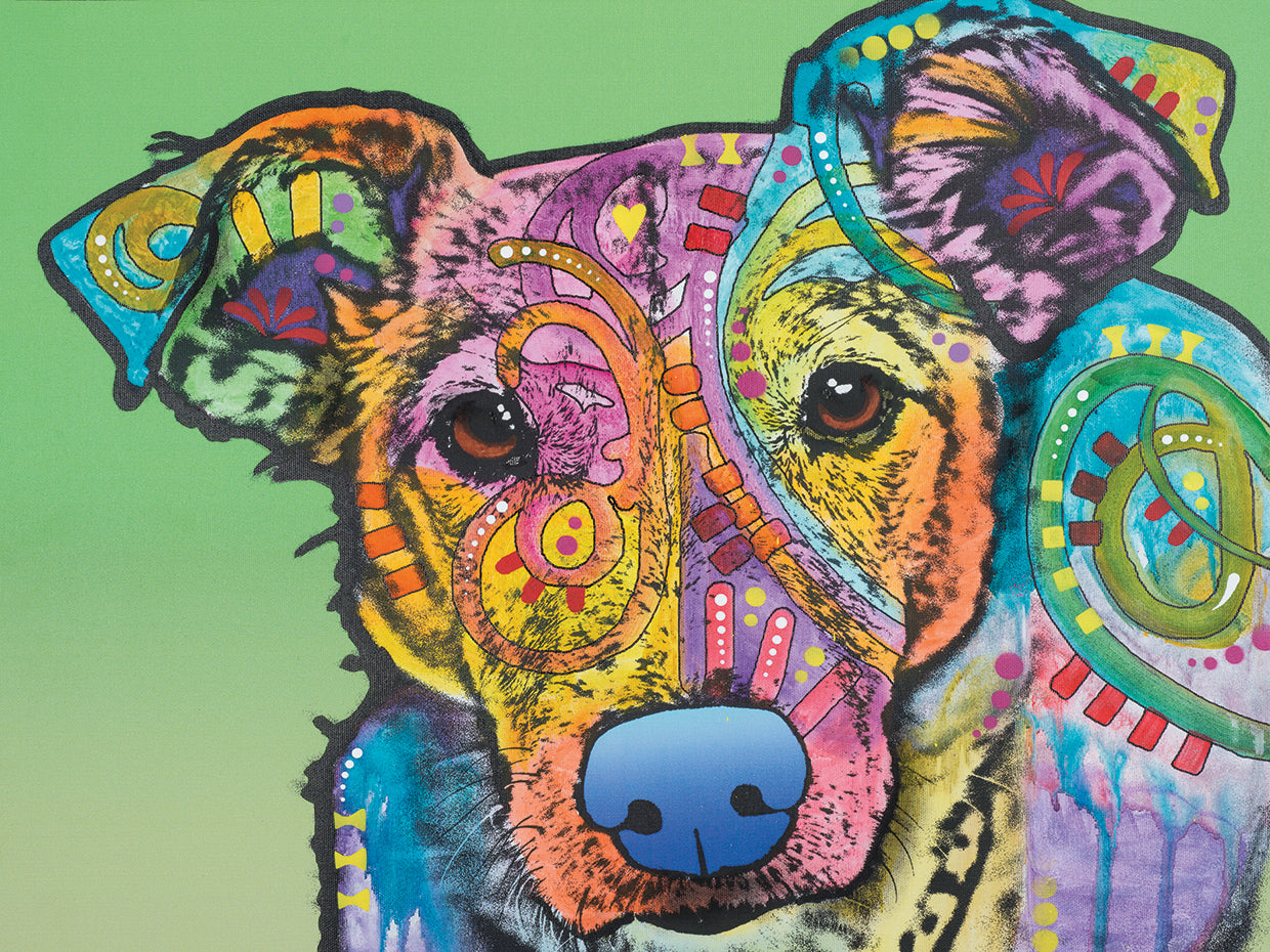 Fina Custom - highest quality handcrafted wall art work on large canvas & framed canvas prints by Dean Russo