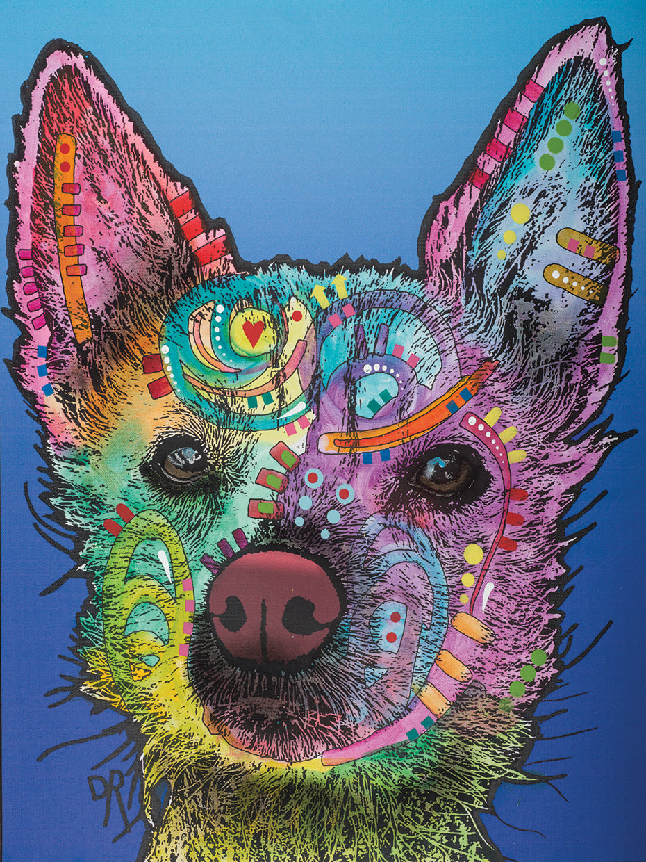 Ozzie - highest quality handcrafted wall art work on large canvas & framed canvas prints by Dean Russo