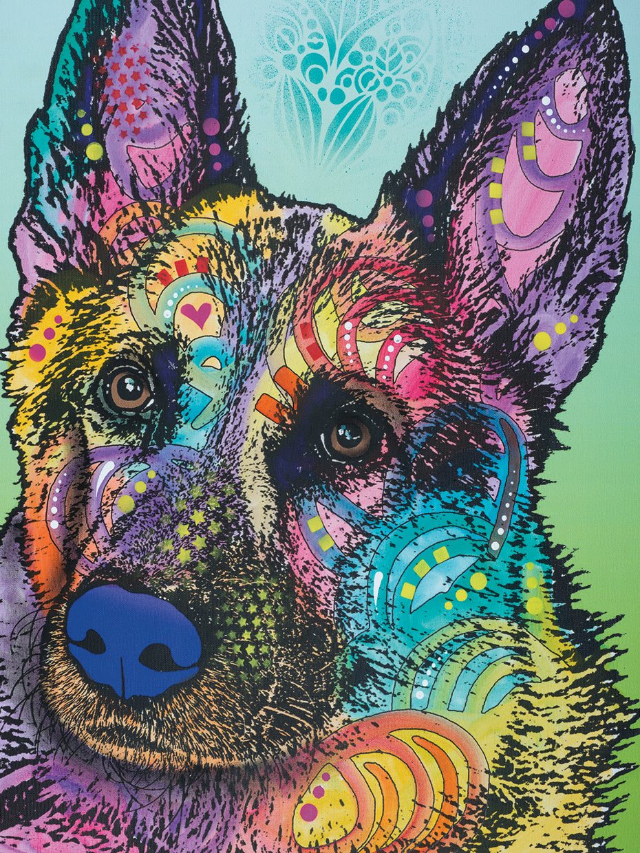 Reza 20 - highest quality handcrafted wall art work on large canvas & framed canvas prints by Dean Russo