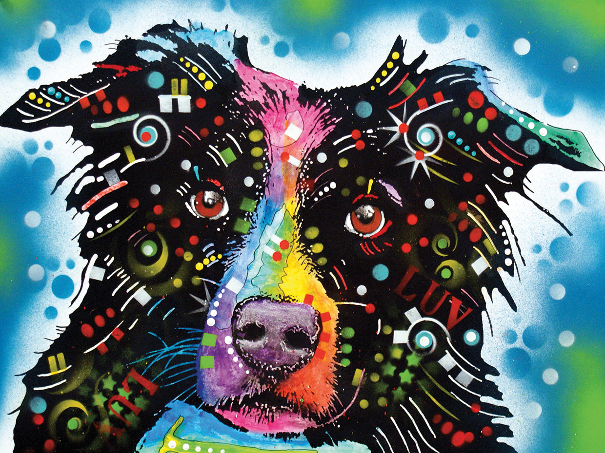 Border Collie 3 - highest quality handcrafted wall art work on large canvas & framed canvas prints by Dean Russo