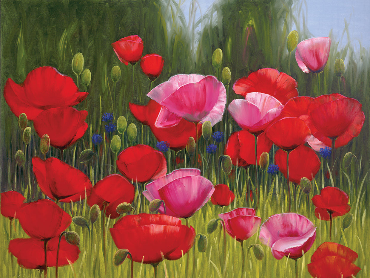 Red Poppies