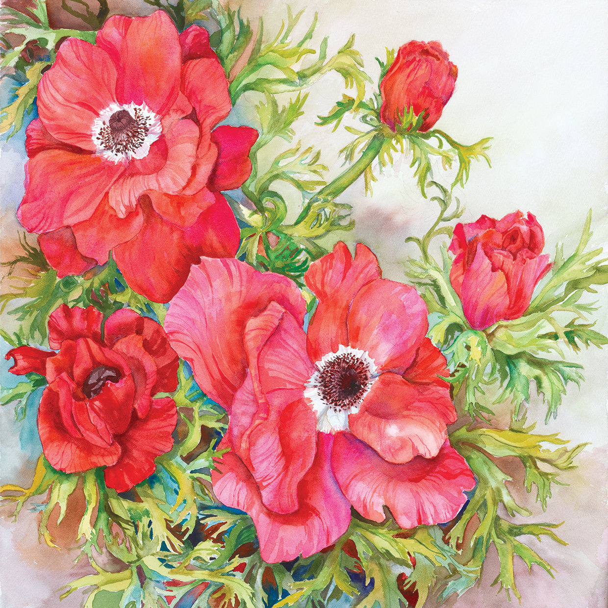 Red Anemones