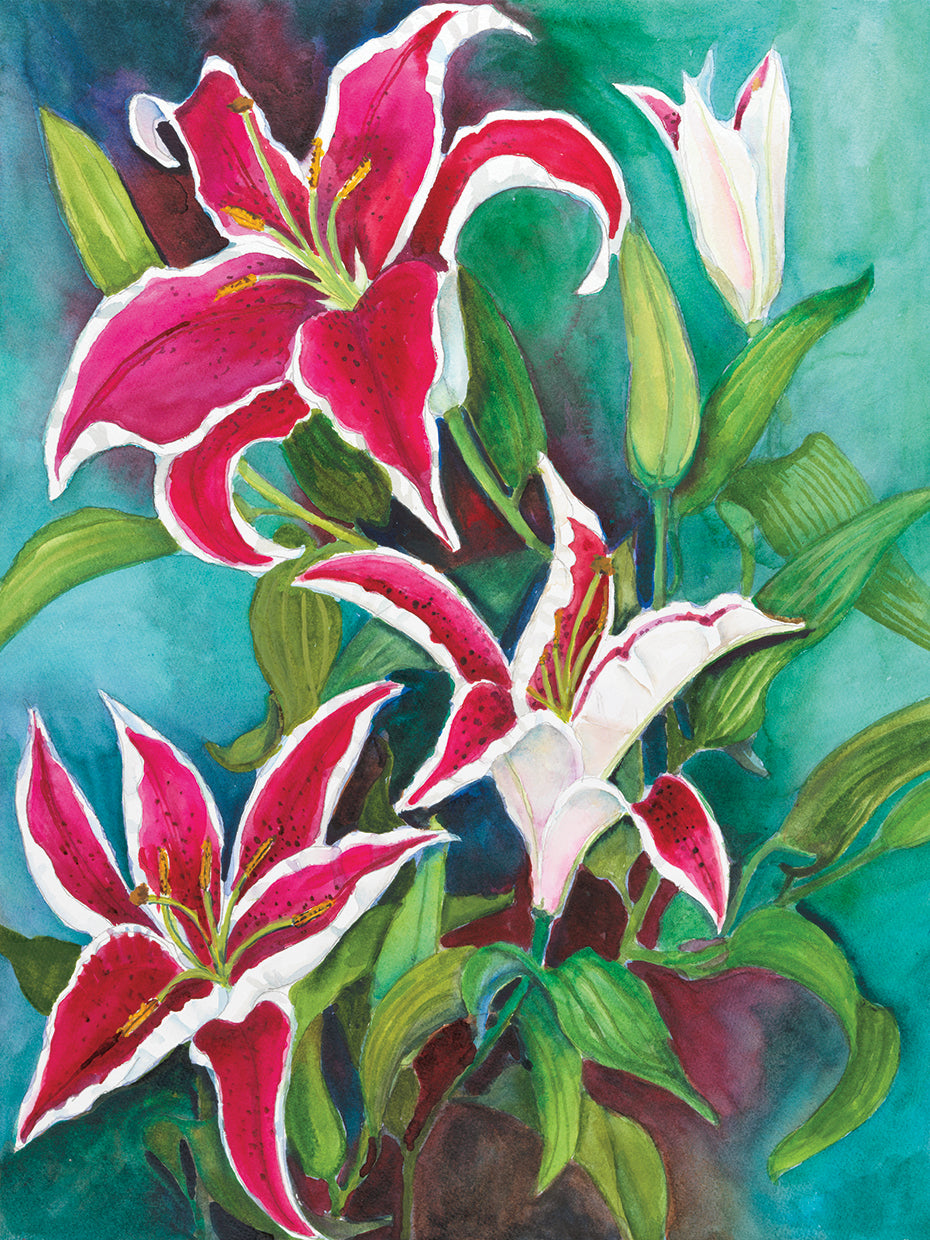 Red and White Lilies